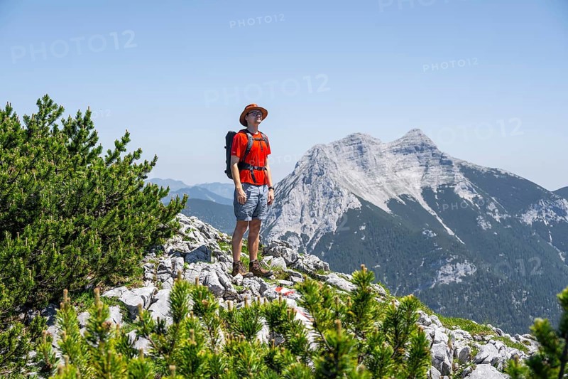 Mountaineer on a hiking trail between mountain pines, behind mountain peak Seekarspitze, ascent to Hochunnütz, Unnütz crossing, Brandenberg Alps, Tyrol, Austria, Europe