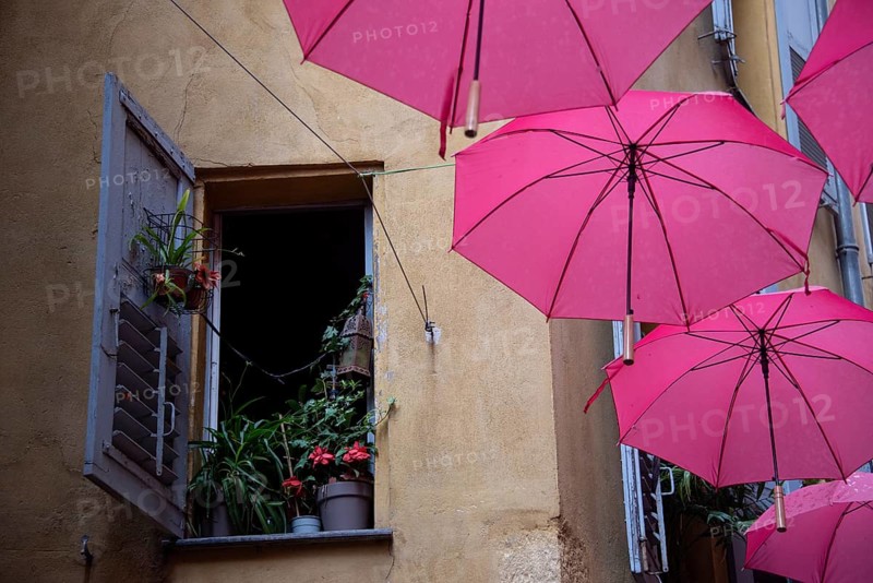 In the perfume town of Grasse, red umbrellas hang between the houses, on the left a window with flower pots and green plants, Grasse, Provence-Alpes-Côte d'Azur, France, Europe