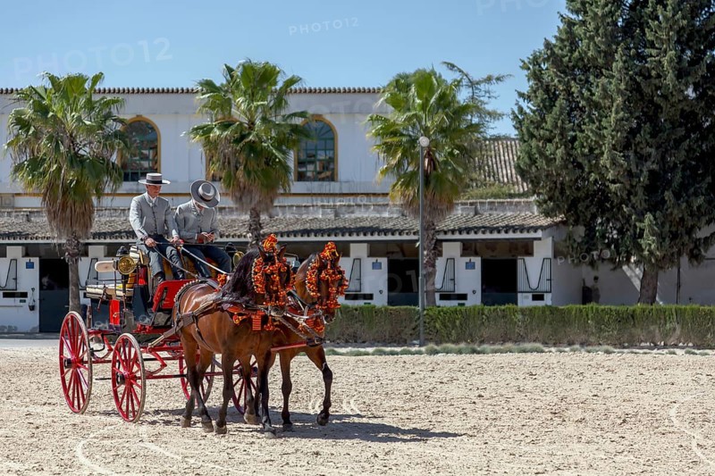 Carriage of the Royal Andalusian Riding School, Jerez de la Frontera, Andalusia, Spain, Europe
