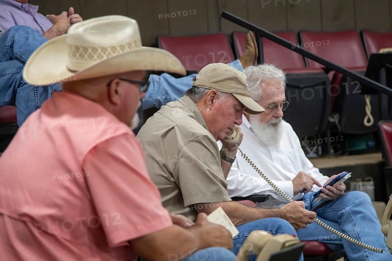 Oklahoma City, Oklahoma, Cattle buyers at an auction at the Oklahoma National Stockyards. Since it was founded in 1910, more than 100 million cattle have been sold at ONSY's weekly auctions