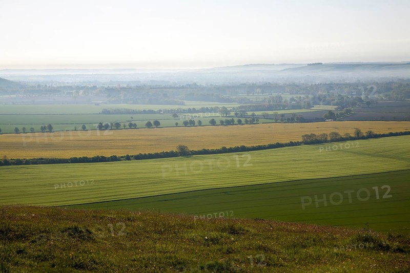 Early morning ground fog lying over fields in the Vale of Pewsey, near Alton Barnes, Wiltshire, England, UK