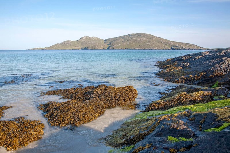 Seaweed on sandy beach at Bagh a Deas, South Bay, Vatersay island, Barra, Outer Hebrides, Scotland, UK view to the Island of Sandray