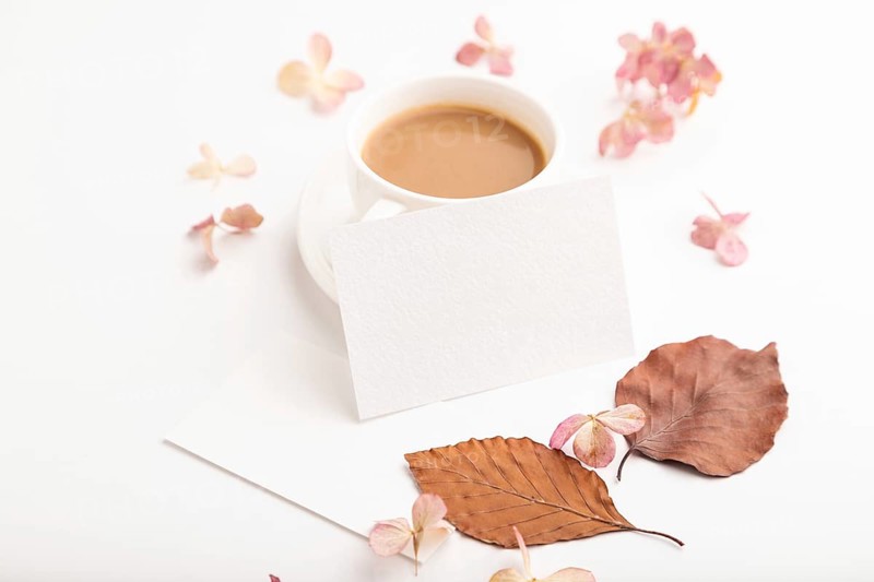 Composition with white paper business card, brown beech autumn leaves, hydrangea flowers and cup of coffee. mockup on white background. Blank, side view, still life, copy space