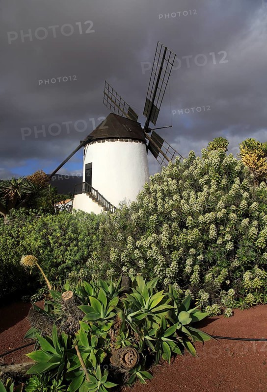 Windmill and garden at Centro de Artesania Molinos de Antigua, Fuerteventura, Canary Islands, Spain, Europe