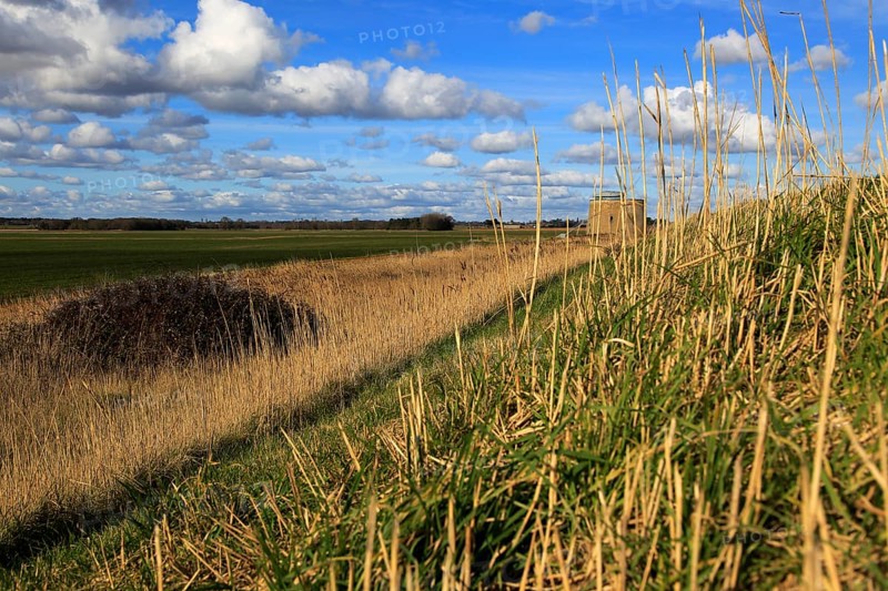 Marshland landscape on flat between Bawdsey and Alderton, Suffolk, England, UK from coastal defence dyke wall