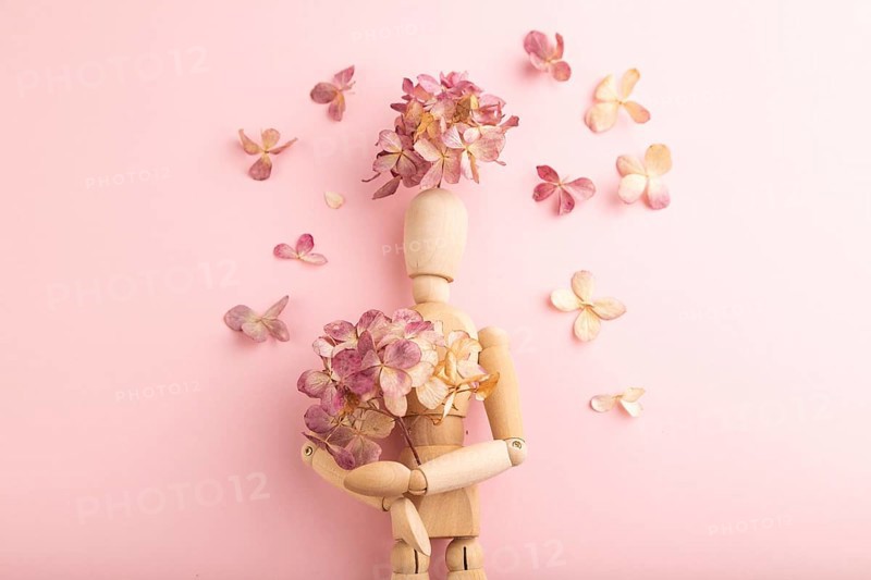 Wooden mannequin holding hydrangea flowers on pink pastel background. copy space, isolated, spring, gardening concept