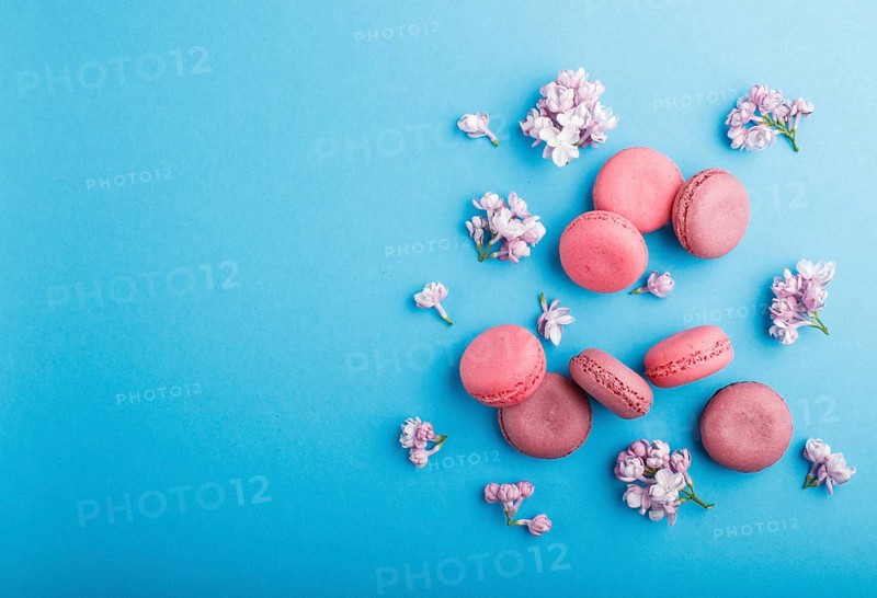 Purple and pink macaron or macaroon cakes with lilac flowers on pastel blue background. Morninig, spring, fashion composition. Flat lay, top view, copy space