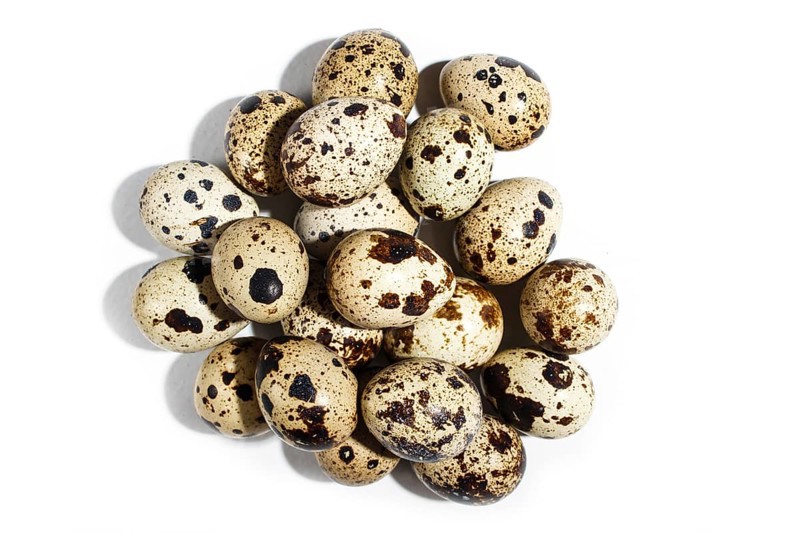 Pile of quail eggs isolated on white background. Top view