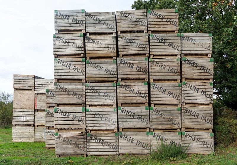 Wooden crates used for potatoes makred with farmer's name, Sutton, Suffolk, England, UK