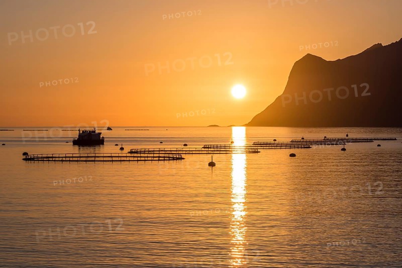Salmon farm in fjord Mefjord, sunset over sea and mountain range, salmon, Senja, Troms, Norway, Europe