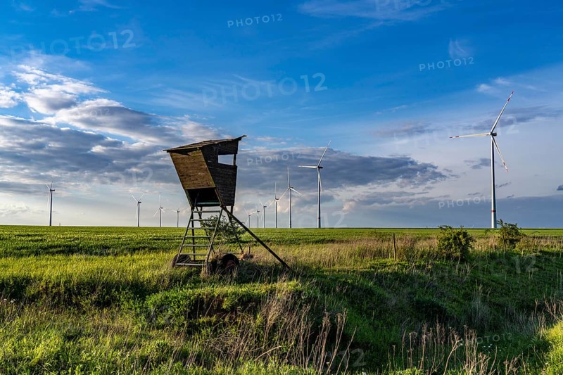 RWE wind farm near Bedburg, at the Garzweiler opencast mine, on recultivated part of the opencast lignite mine, Nordex N163 wind turbine, North Rhine-Westphalia, Germany, Europe