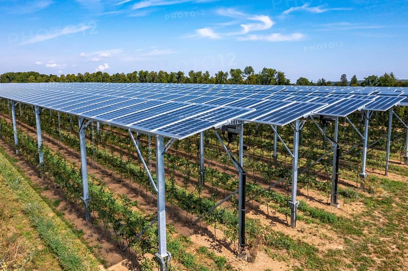 Agri-photovoltaic test plant, an apple orchard with two different systems of PV modules was roofed over 3000 square metres, rain and sunlight comes through, at the same time protection against hail and heavy rain, next to it are the same trees but without a solar roof, as a comparison object, how the PV roof affects the trees and harvest, the field test is accompanied by the Fraunhofer Institute for Solar Energy Systems ISE, in Grafschaft-Gelsdorf, Rhineland-Palatinate, Germany, Europe
