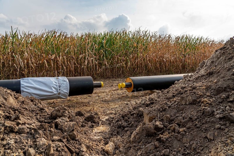Laying of district heating pipes, next to a field, with maize, the district heating comes from a biogas plant and is fed directly into households in the neighbourhood, private provider, near Delbrück, North Rhine-Westphalia, Germany, Europe