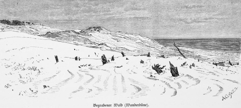 Shifting sand dune, buried forest, Curonian Spit, Curonian Lagoon, Baltic Sea, Lithuania, dune landscape, tree top, historical illustration 1880, Europe