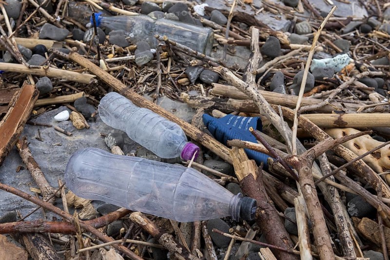 Symbolic image environmental pollution, plastic waste, rubbish, flotsam from a flood on the Neckar river, wood, bottles, Poppenweiler, Baden-Württemberg, Germany, Europe