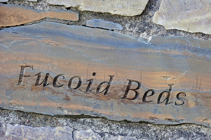 Fucoid beds rock fragment, part of the Knockan Puzzle at the Knockan Crag National Nature Reserve, Highlands, Scotland, United Kingdom, Europe