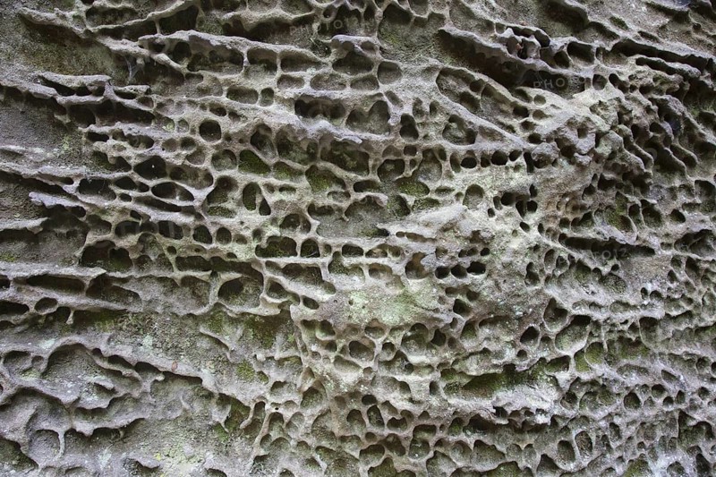 Close-up of eroded rock face in cliff due to wind and water erosion called honeycomb weathering, honeycombs, honeycombed sandstone, Saxony, Germany, Europe
