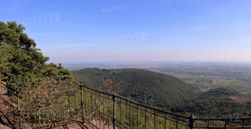View of the Rhine plain from the summit plateau of the Orensberg (southern Wine Route)
