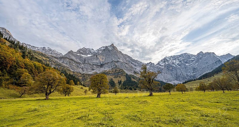 Maple trees with autumn leaves, autumn landscape in Rißtal with Spritzkarspitze, Großer Ahornboden, Engalpe, Eng, municipality of Hinterriß, Karwendel Mountains, Alpenpark Karwendel, Tyrol, Austria, Europe