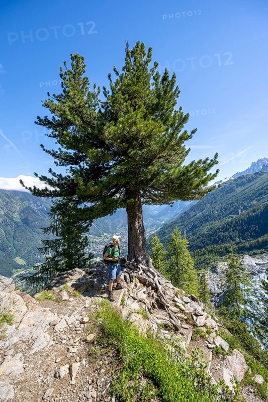 Hiker on the La Jonction hiking trail, Chamonix, Haute-Savoie, France, Europe