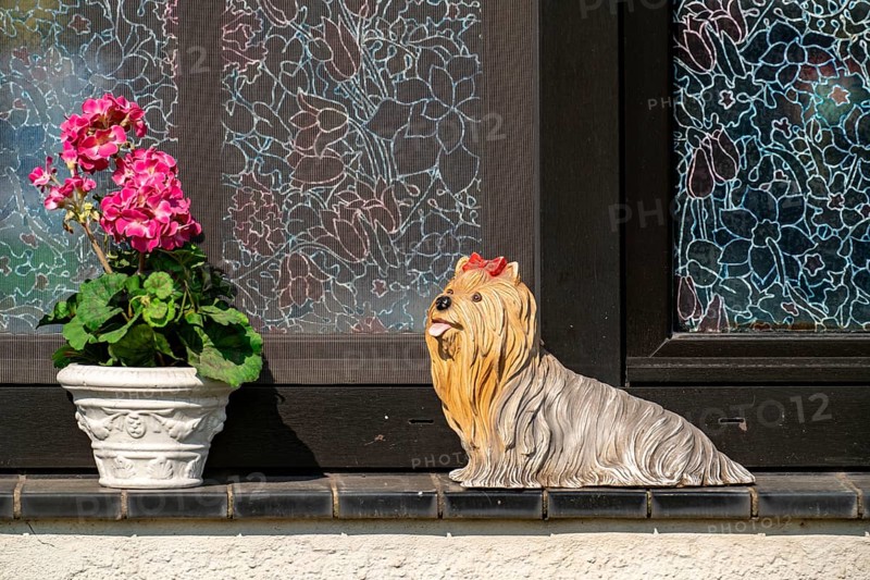 Decoration on a windowsill, in Duisburg, flower and porcelain dog, Duisburg, North Rhine-Westphalia, Germany, Europe