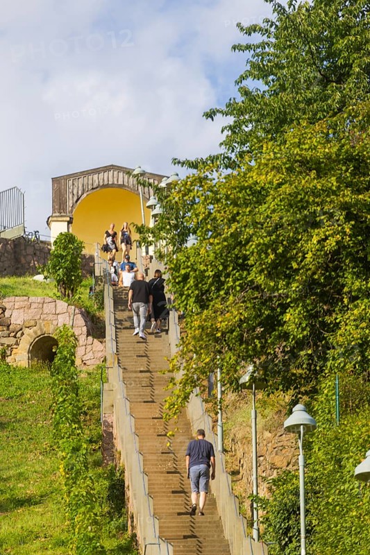 The Spitzhaus staircase is located in the Saxon town of Radebeul. It connects the Hoflößnitz vineyard with the Spitzhaus and the Bismarck Tower. The staircase, including the shell pavilion at the top, is a heritage-protected building, Radebeul Weinhänge, Radebeul, Saxony, Germany, Europe