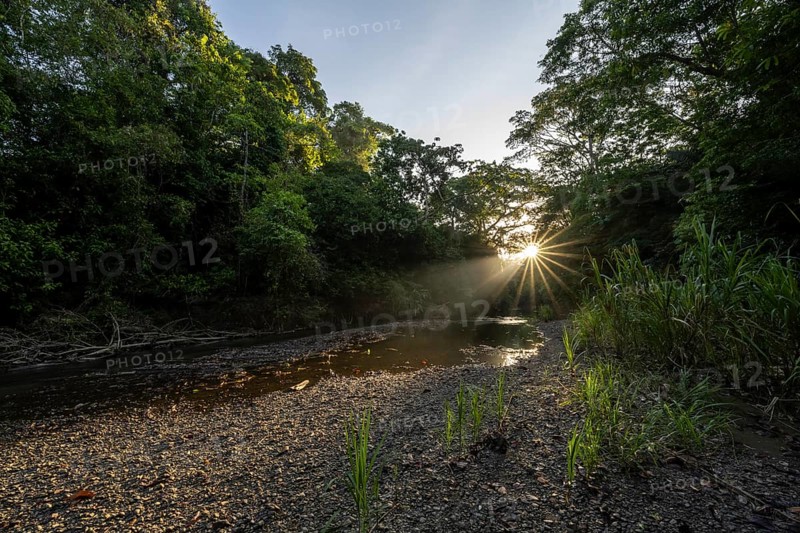 Atmospheric morning light with sun star at a stream in the tropical rainforest, Corcovado National Park, Osa Peninsula, Puntarena Province, Costa Rica, Central America