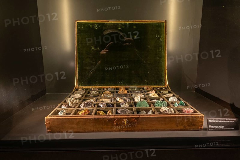 Exhibits, rock collection in the Goethe National Museum, Weimar, Thuringia, Germany, Europe