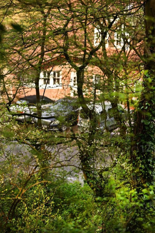 Iserlohn. This year's unusually warm weather in April has already given us a May. Nature exploded in a frenzy of colour. The unusually warm weather in April this year has already given us a May. Nature exploded in a riot of colours