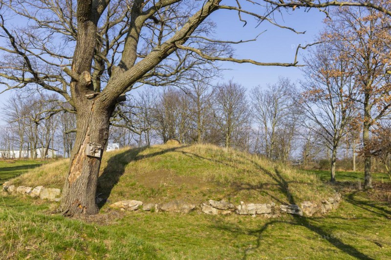 Two imposing burial mounds from the late Bronze Age (approx. 120o years BC) form the centrepiece of the Gävernitz Archaeological Park. The archaeological open-air museum makes the graves and their time visible and tangible in their historical context by developing and implementing modern educational and mediation offers., Gävernitz, Saxony, Germany, Europe