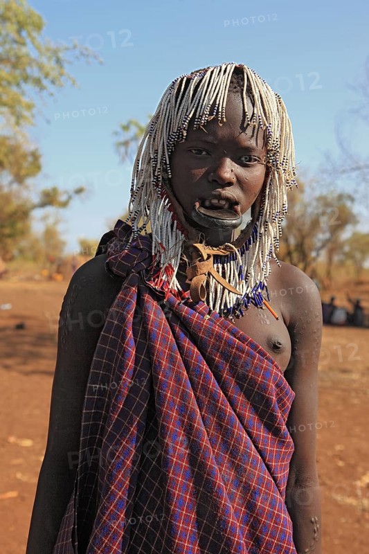 South Ethiopia, in Maco National Park, Mursi tribe, young Mursi woman, plate-lipped woman, woman with plate in her lower lip, lip jewellery, hair plaited into small tufts, Ethiopia, Africa