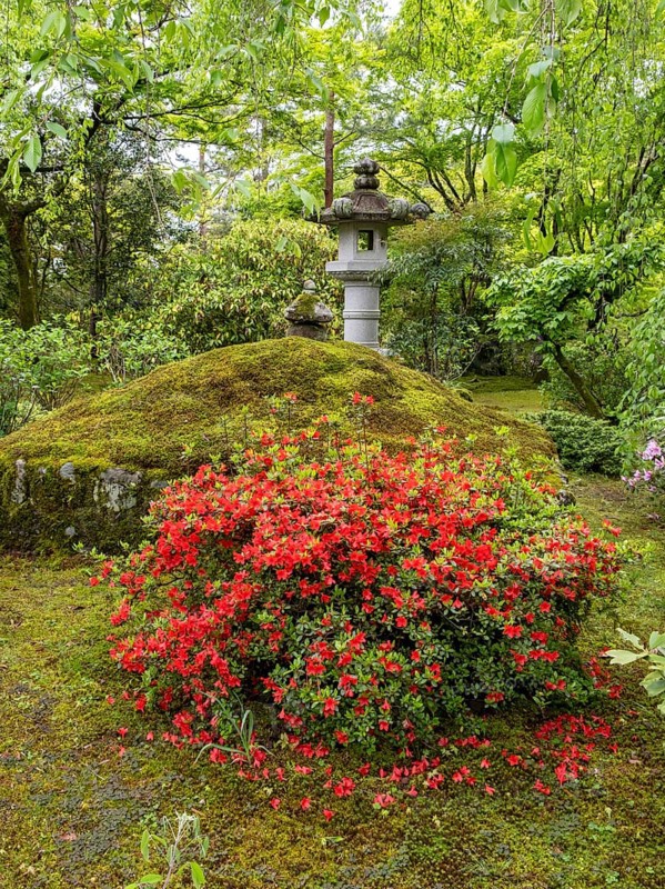 Tenryu Shiseizen-ji temple garden, Kyoto, Japan, Asia