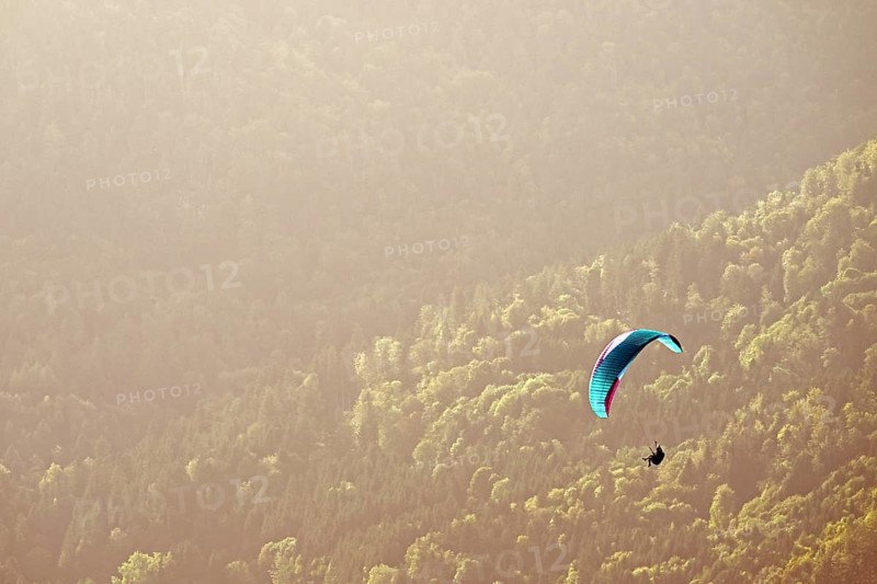 Paraglider flying over the forest, Alsace, France, Europe