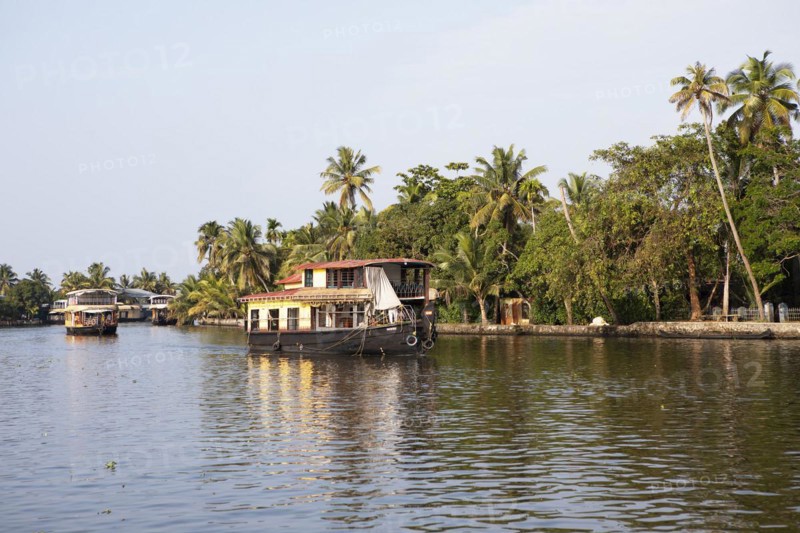 Traditional houseboats on a canal in the canal system of the backwaters, Kerala, India, Asia