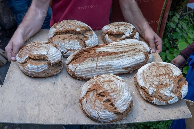 Freshly baked wood-fired bread on a board, baking oven festival in Franconia, Bavaria, Germany, Europe