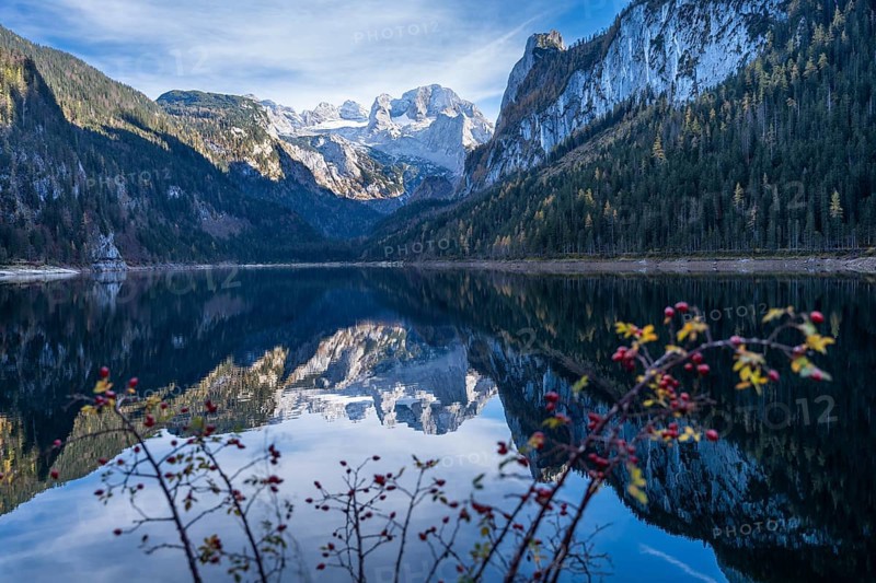The Vordere Gosausee lake in autumn with a view of the Dachstein mountain range. The Gosaukamm on the right. Blue sky, good weather. Reflection. Vorderer Gosausee, Gosau, Gosau valley, Salzkammergut, Upper Austria, Austria, Europe