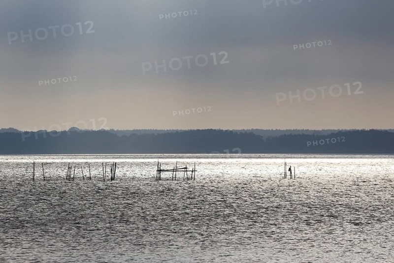 Usedom, on the Achterwasser, September, Mecklenburg-Western Pomerania, Germany, Europe