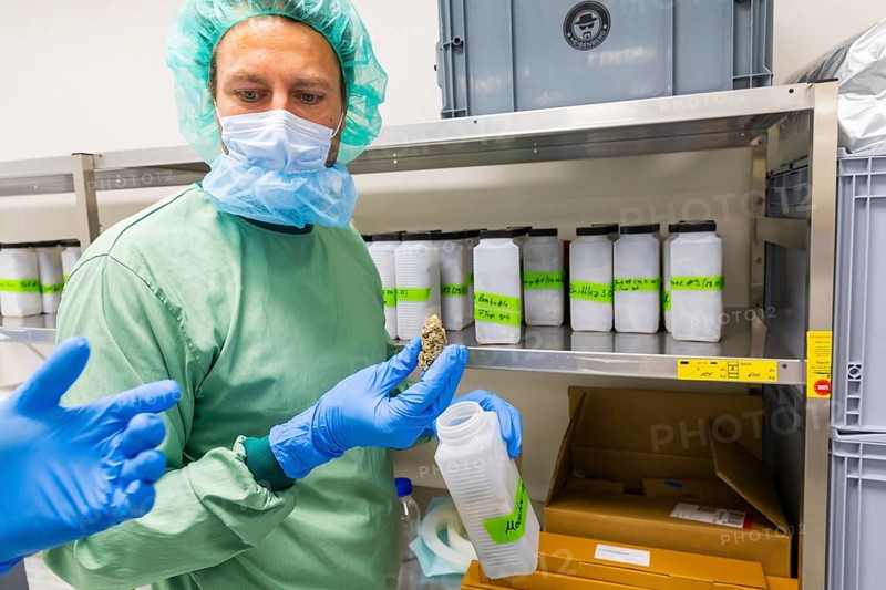 DEU/Saxony/Ebersbach The Saxon cannabis producer Demecan is now the first German company to be authorised to cultivate medicinal cannabis indefinitely under the new Cannabis Act. The company had been authorised to produce since 2019, albeit subject to conditions such as a maximum production quantity or regulated distribution. These conditions will now no longer apply, which will improve the supply situation for medicinal cannabis. The Federal Government Commissioner for Addiction and Drug Issues Burkhard Blienert and Health Minister Petra Köpping took a tour of the production facility to find out more about the manufacture of medicinal cannabis. Dr Adrian G. fisherman Managing Director / Managing Director & Co-Founder, Federal Drug Commissioner Burghard Blienert and Health Minister Petra Köpping visit Saxon cannabis producer Demecan, Ebersbach, Saxony, Germany, Europe