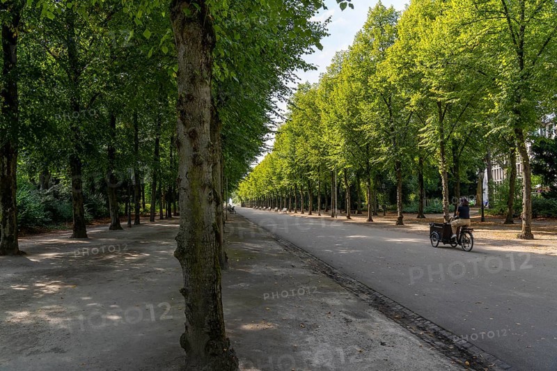 The Jägerhofallee in the Hofgarten, the central municipal park in Düsseldorf, North Rhine-Westphalia, Germany, Europe