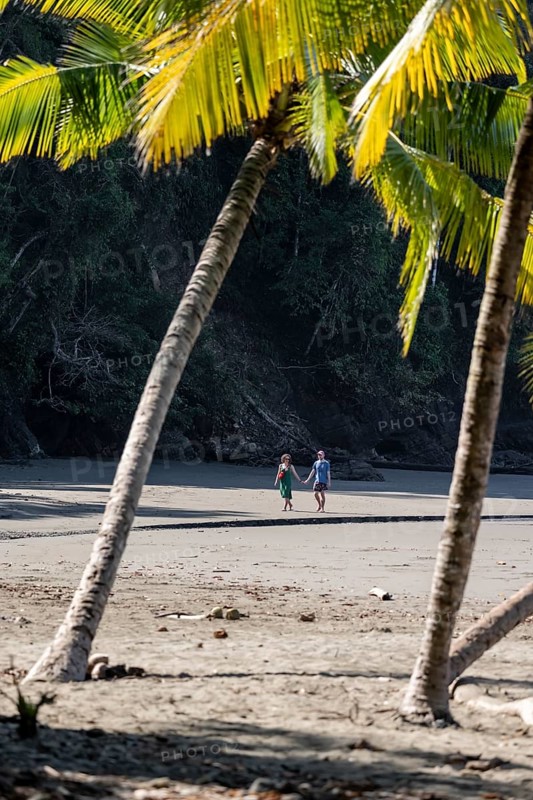 Couple walking along the beach, between coconut trees, Playa Ventanas, Puntarenas province, Costa Rica, Central America