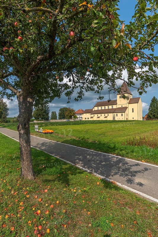 Oberzell, Reichenau Island, St. George's Parish Church, UNESCO World Heritage Site, pumpkin sale, autumn, apple tree, fields, Lake Constance, Baden-Württemberg, Germany, Europe