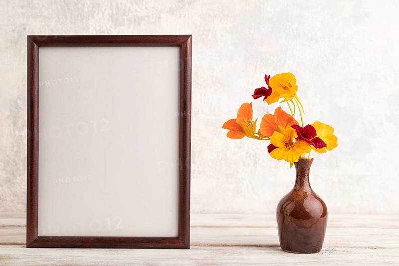 Wooden frame with orange nasturtium flowers in ceramic vase on gray concrete background. side view, copy space, still life, mockup, template, spring, summer concept