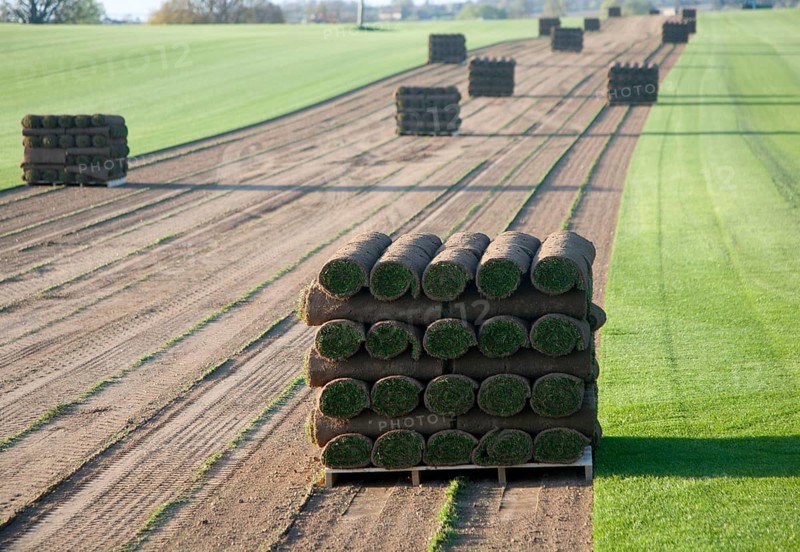 Rolls of turf grass standing on a pallet in a field, Blaxhall, Suffolk, England, United Kingdom, Europe