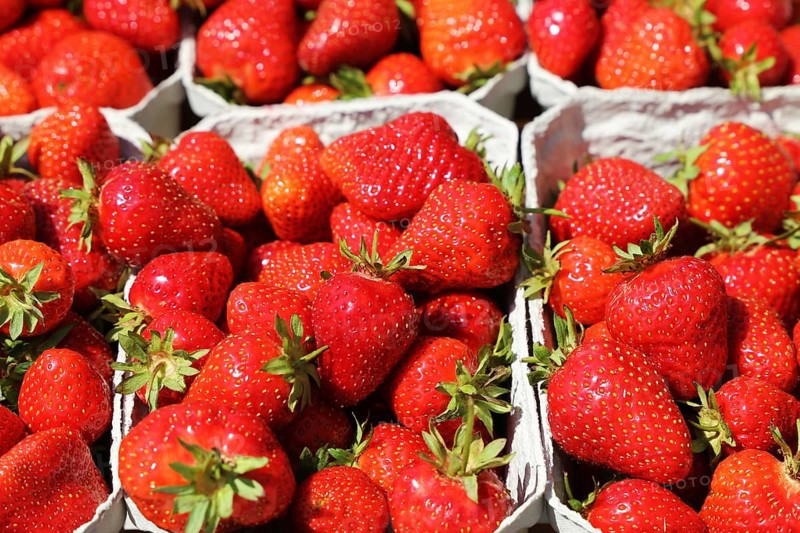 Fresh strawberries from Germany at the market in Mutterstadt, Rhineland-Palatinate
