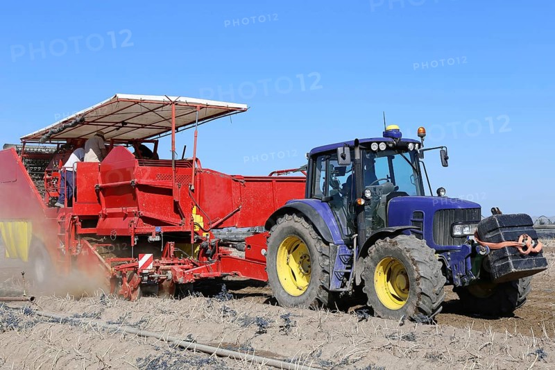 Tractor with harvester harvesting potatoes