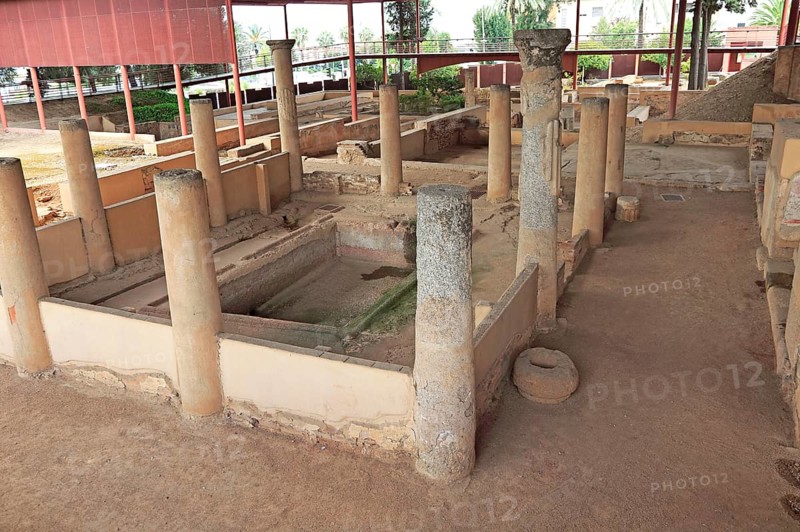 Casa del Mitreo Roman villa site, Merida, Extremadura, Spain, Europe