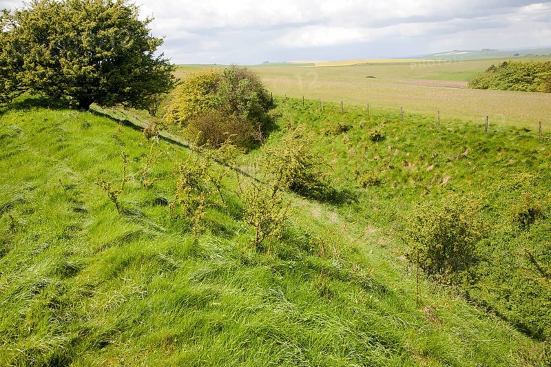 Ditch and embankment of the Wansdyke a Saxon defensive structure on All Cannings chalk downs near Tan Hill, Wiltshire, England, United Kingdom, Europe