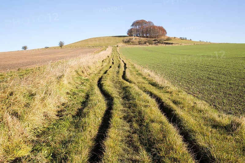 Chalk landscape in winter, Woodborough Hill, Vale of Pewsey, Wiltshire, England, UK