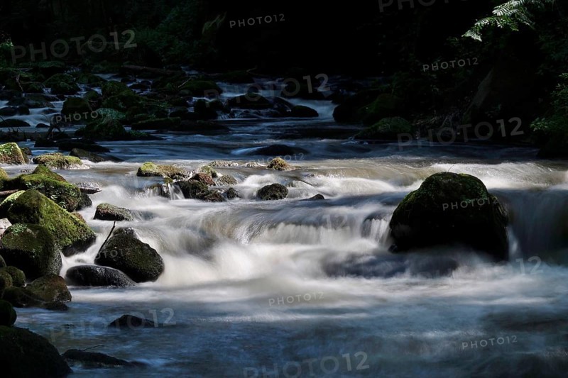 River Wesenitz, Liebethaler Grund, part of the Malerweg, summer, Saxon Switzerland, Saxony, Germany, Europe
