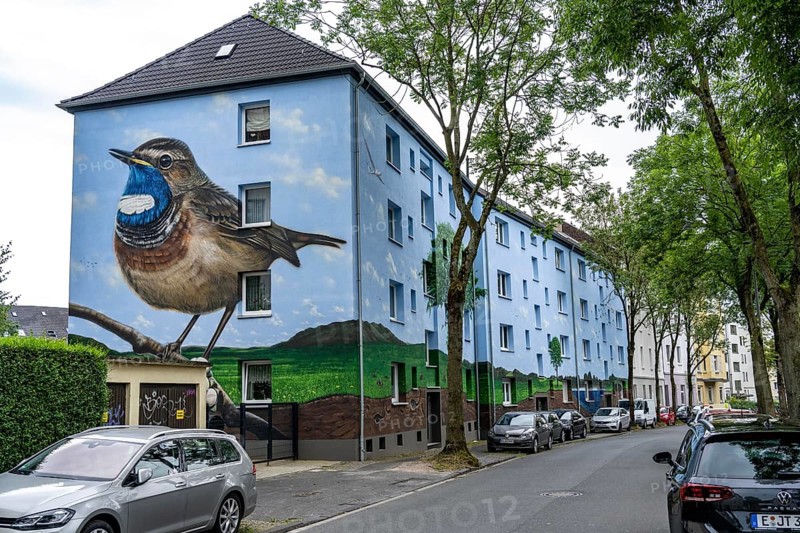 Residential buildings on Feldsieper Straße in Bochum, after an energy-efficient refurbishment, with facade insulation, the Bochumer Wohnstätten Wohnungsgenossenschaft had the buildings painted with a large mural by Dortmund graffiti artist Denis Klatt, it shows a bluethroat and a landscape with trees, life below ground and lots of sky on the entire facade, Bochum-Hamme, North Rhine-Westphalia, Germany, Europe
